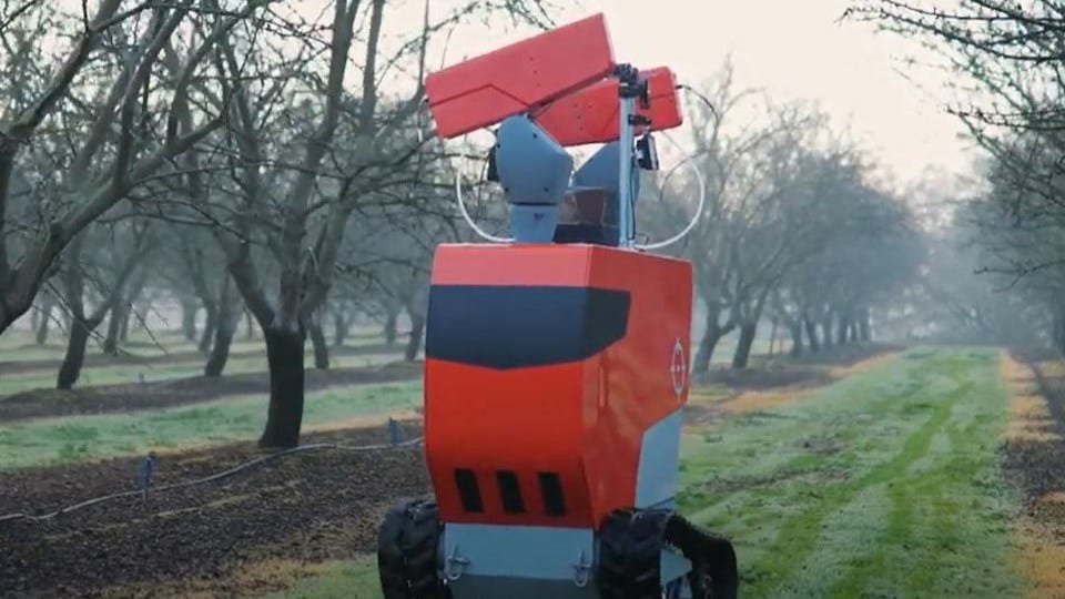 The rover developed by InsightTRAC is on patrol in a California almond orchard.