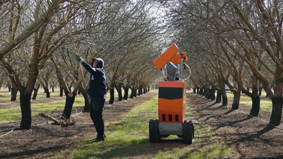 InsightTRAC says its rover can replace the hands-on work to remove rotten almonds.