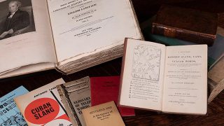 IU Kripke Dictionary Collection
