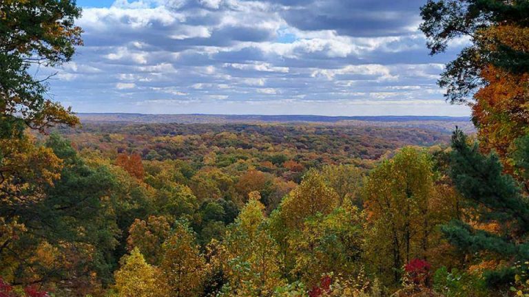 Indiana state park among best for fall foliage – Inside INdiana Business