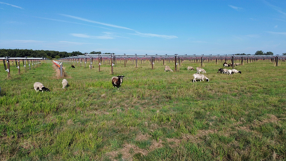 What's the Biggest Ranch in the US: A Mammoth Estate!