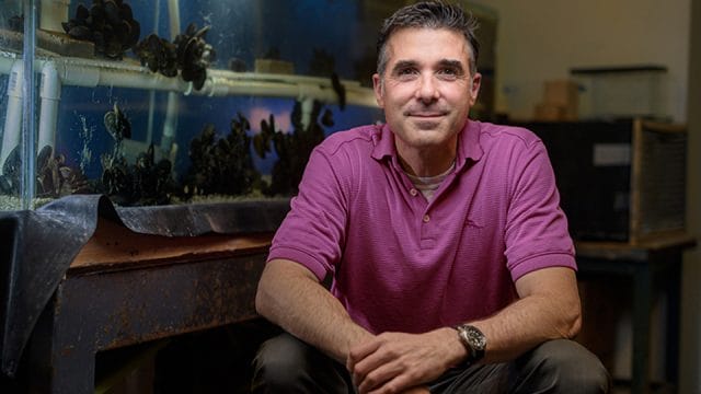Purdue Wilker Purdue team looking to create sustainable adhesives – Inside INdiana ...