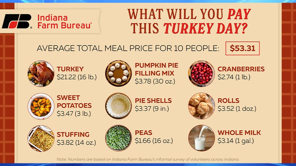 Cost of Thanksgiving dinner dips slightly in 2024