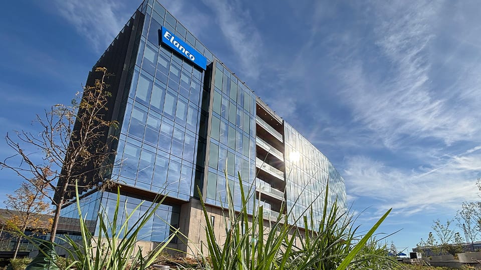 Elanco working to manage parasitic fly’s arrival in U.S.