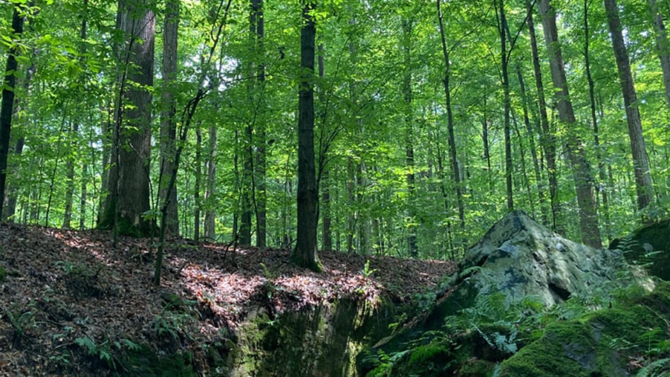 Natural Resources Commission approves Indiana nature preserves