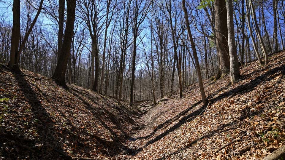 Indiana acquires 122 acres to expand Yellowwood State Forest
