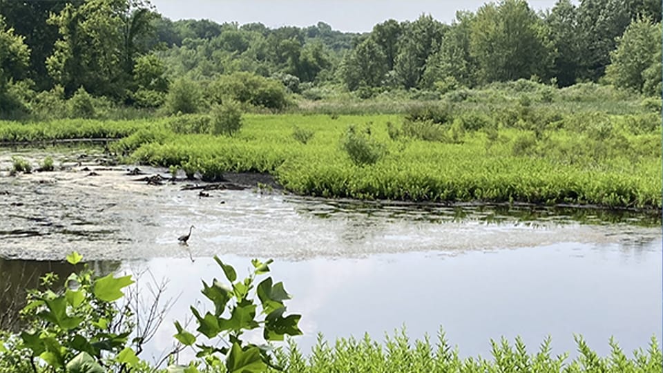 Work complete on Lydick Bog Nature Preserve expansion