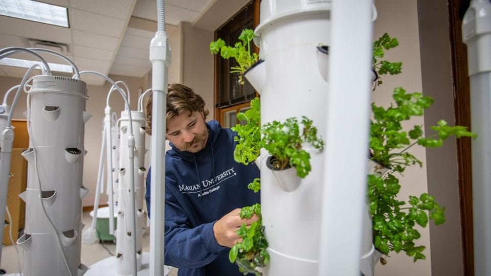 Marian University Plymouth to open innovation and makerspace