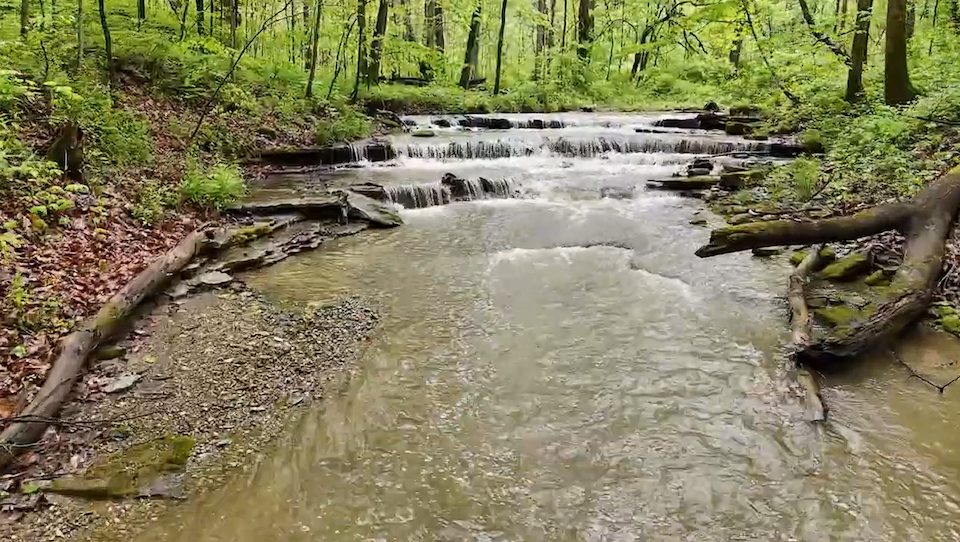 Red-Tail Land Conservancy purchases 32-acre Wayne County property using American Water grant