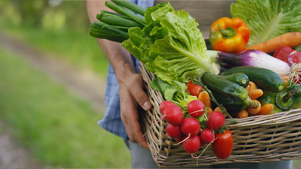 Grant to fuel expansion of healthy food access for families at Evansville schools