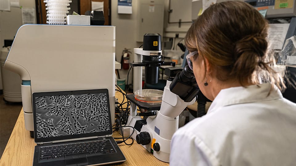 Purdue Cancer Institute secures $9.4M federal grant renewal