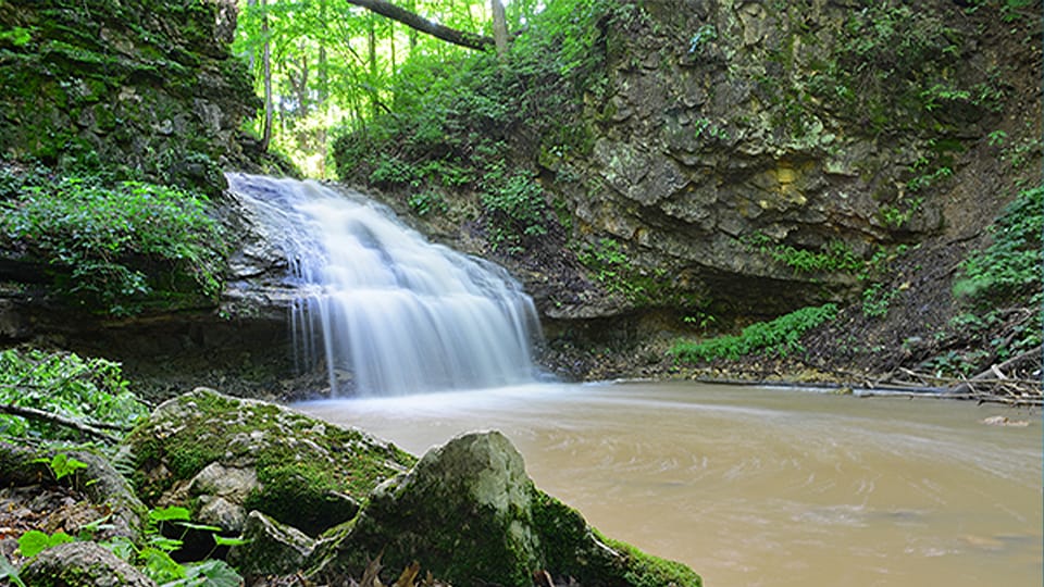 Northern Indiana state forests now under Indiana State Parks control