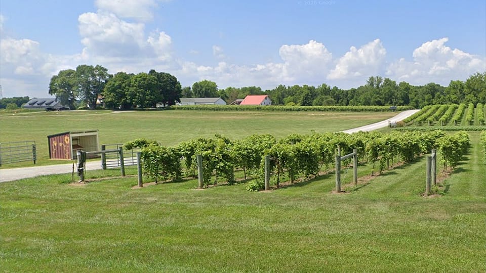 Mallow Run Winery to close after 21 years of business in Johnson County